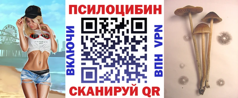 купить закладку  Владикавказ  Галлюциногенные грибы Psilocybine cubensis 